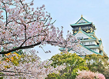 郇斯楠高二赛季个人集锦：场均得到11分8.8板4.6帽