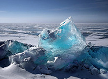 华体会官网：携手共赢的新体验